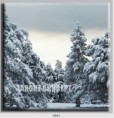 /album/photo-gallery-canvas-uri/decoratiuni-de-perete-canvas-lc-0841-jpg/